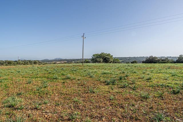 Byggetomt til salgs i Ariany - € 159 900 (Ref: 9398642)