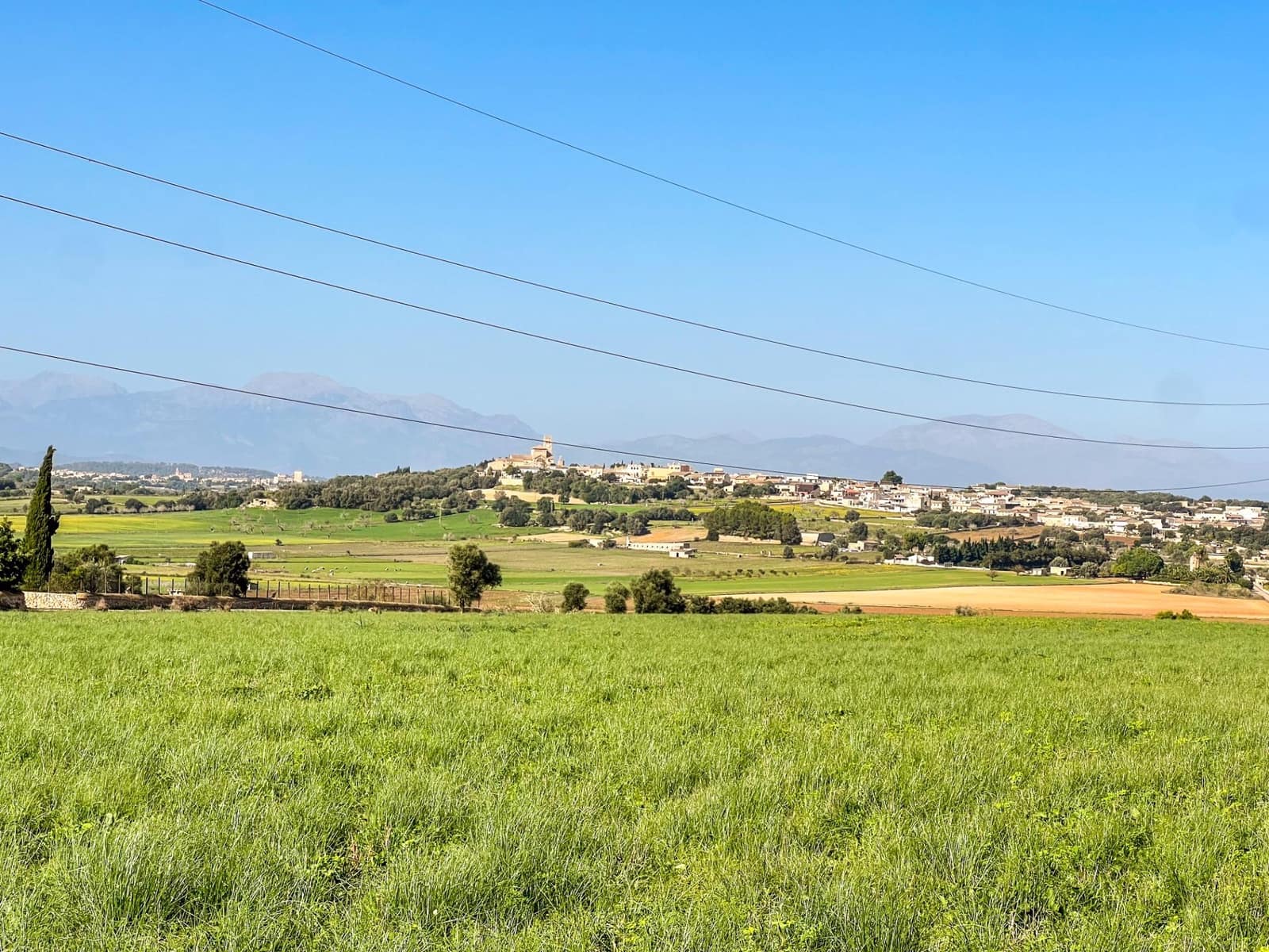 Tomt till salu i Ariany - 159 900 € (Ref: 9398642)