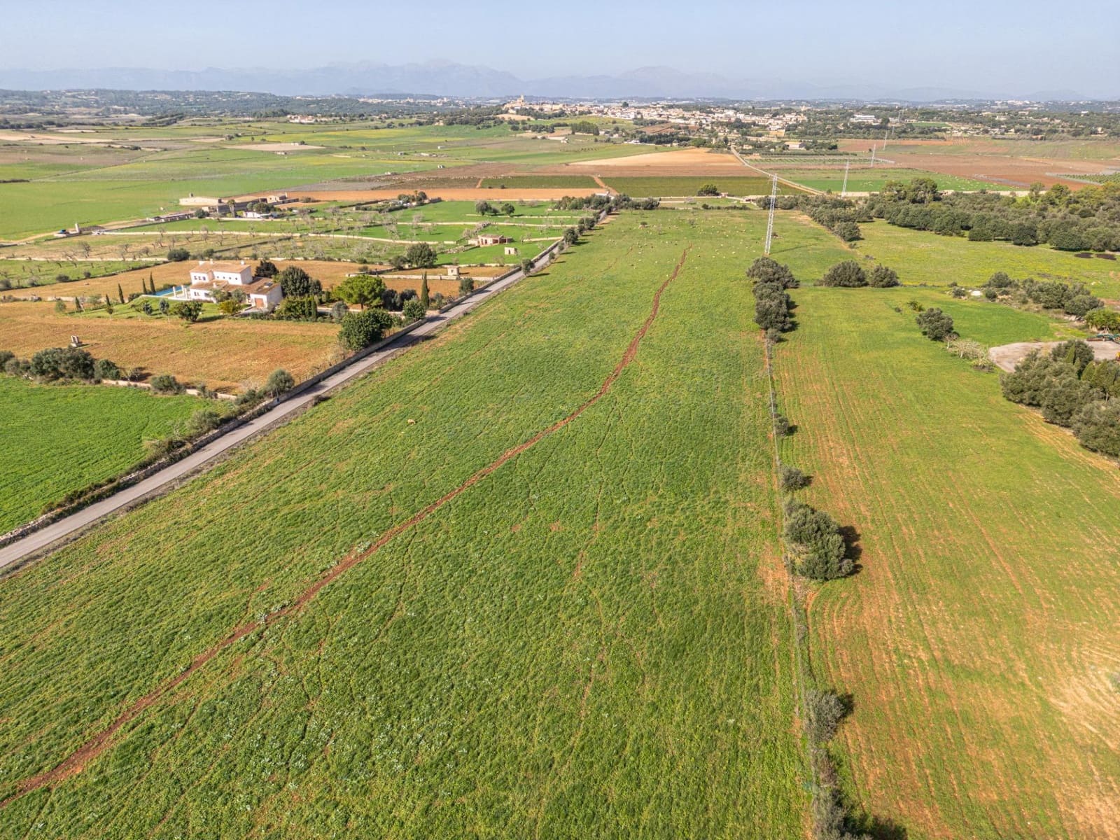 Tomt till salu i Ariany - 159 900 € (Ref: 9398642)