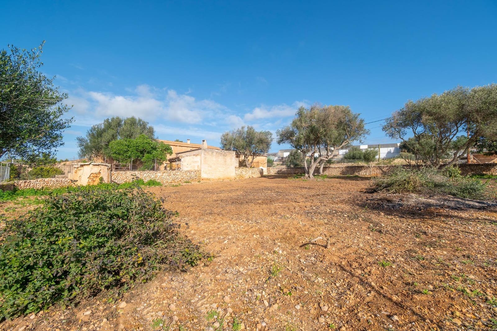 3 soverom Finca/Herregård til salgs i Ses Salines - € 520 000 (Ref: 9519153)