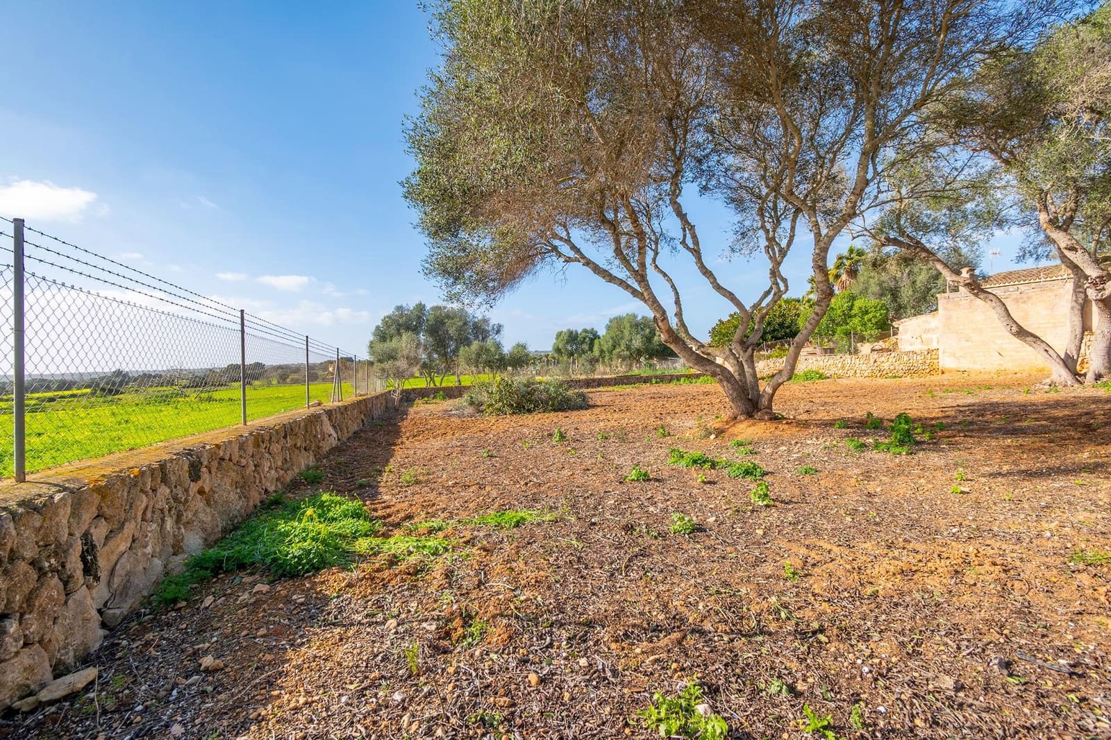 3 soverom Finca/Herregård til salgs i Ses Salines - € 520 000 (Ref: 9519153)