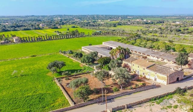 3 soveværelse Finca/Landehus til salg i Ses Salines - € 520.000 (Ref: 9519153)