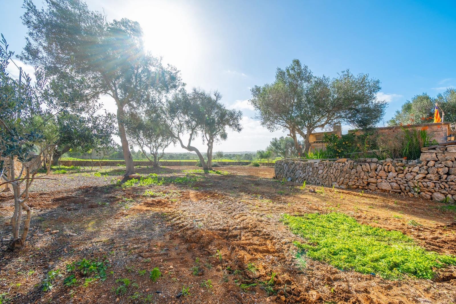 3 camera da letto Finca/Casa di Campagna in vendita in Ses Salines - 520.000 € (Rif: 9519153)