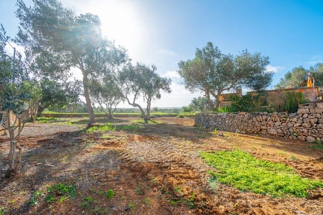 3 soveværelse Finca/Landehus til salg i Ses Salines - € 520.000 (Ref: 9519153)
