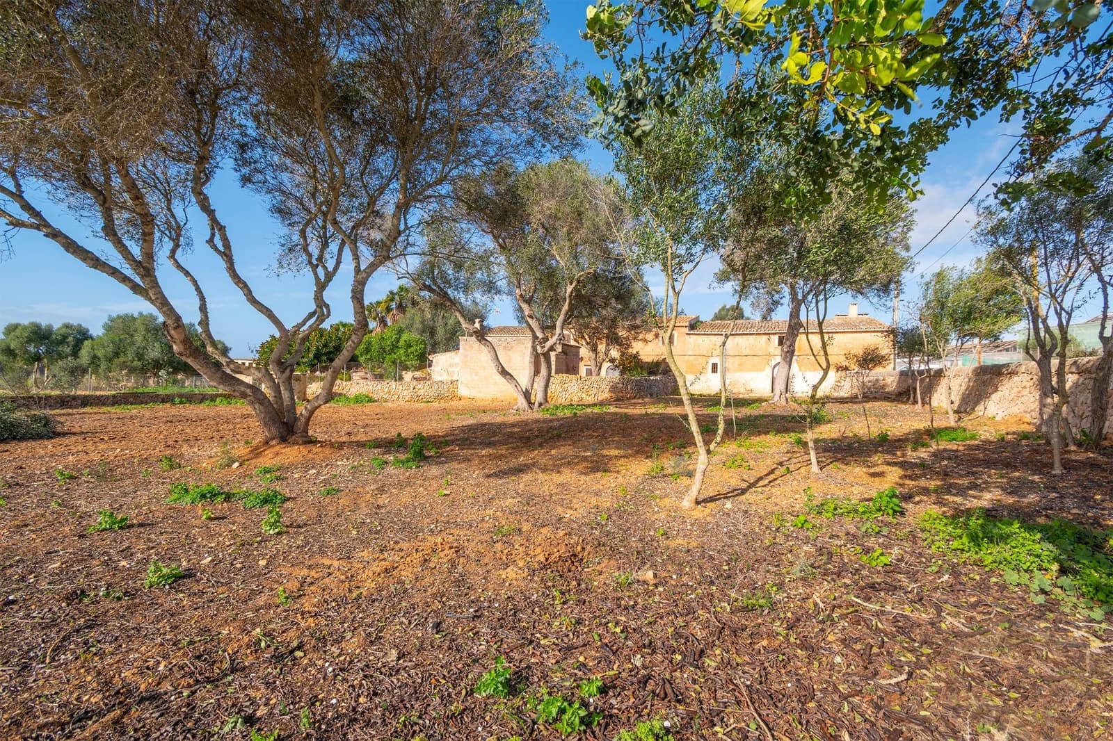 3 camera da letto Finca/Casa di Campagna in vendita in Ses Salines - 520.000 € (Rif: 9519153)