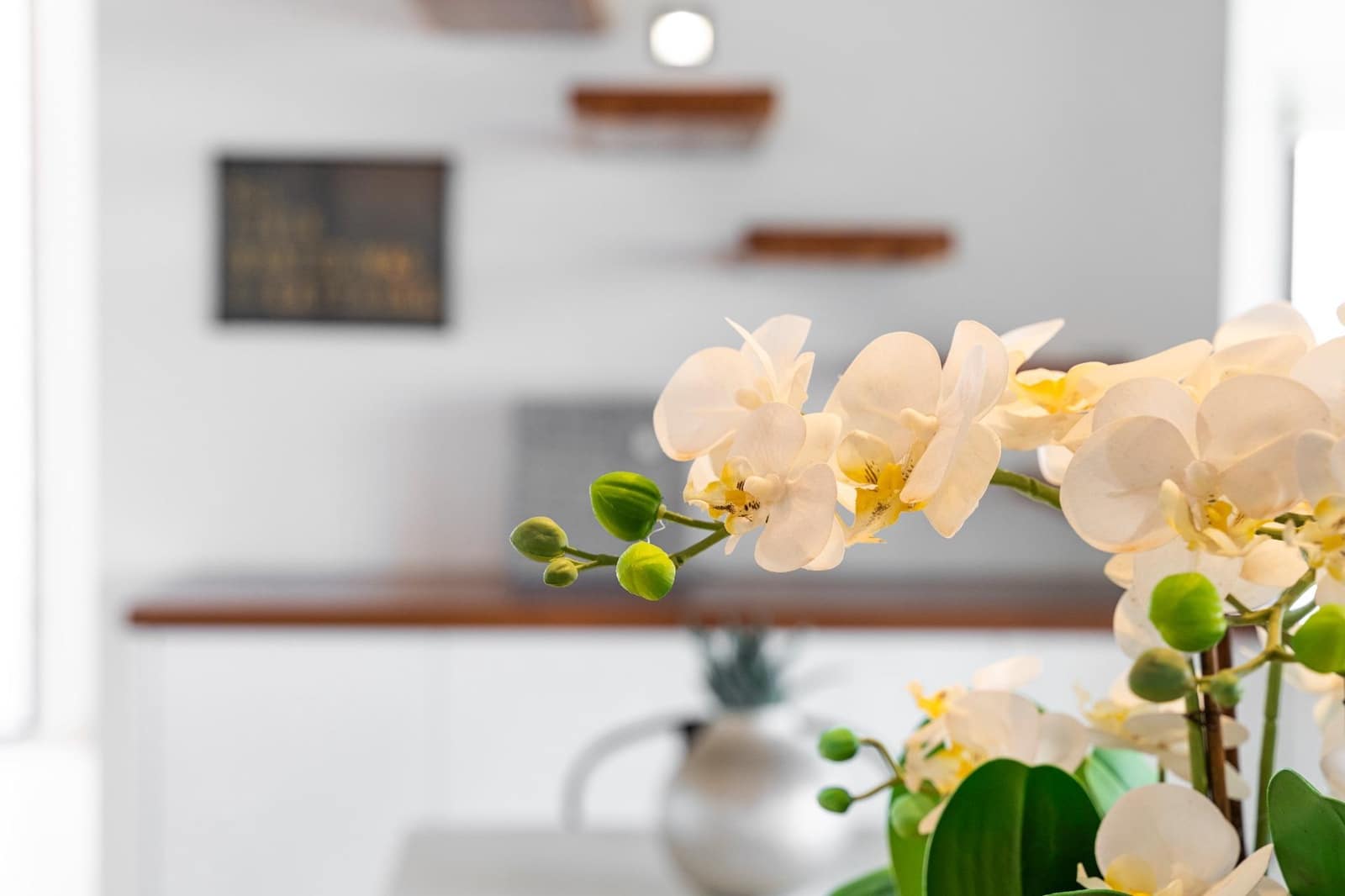 2 soverom Kjedet enebolig til salgs i Palma de Mallorca - € 2 250 000 (Ref: 9519155)