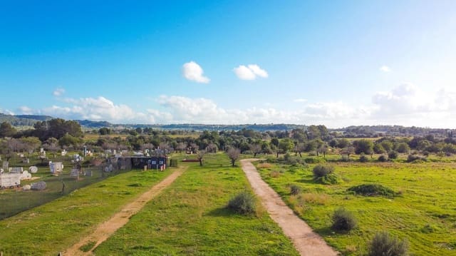 Bauplatz zu verkaufen in Marratxí - 1.650.000 € (Ref: 9530827)