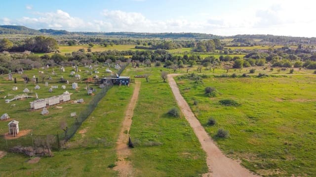 Bauplatz zu verkaufen in Marratxí - 1.650.000 € (Ref: 9530827)