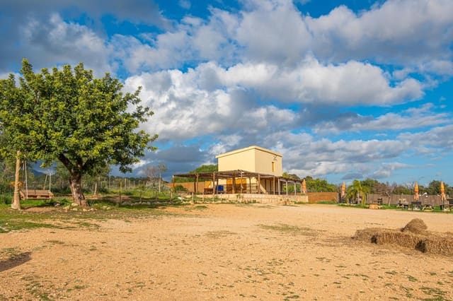 Bauplatz zu verkaufen in Marratxí - 1.650.000 € (Ref: 9530827)