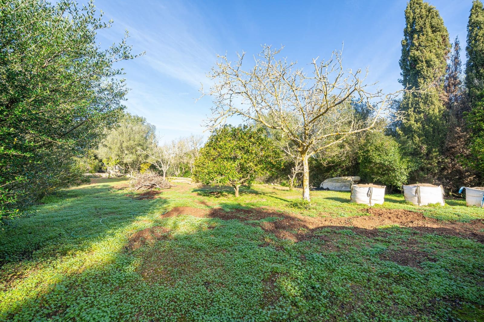 2 bedroom Finca/Country House for sale in Algaida with pool - € 420,000 (Ref: 9551870)