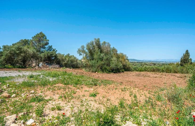 Finca/Country House for sale in Manacor - € 180,000 (Ref: 9820347)