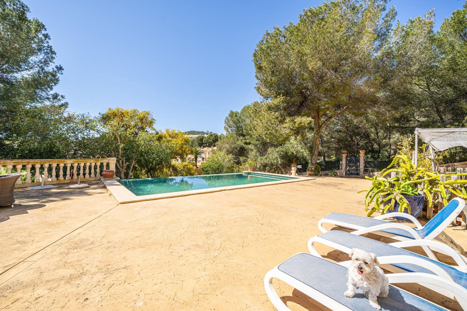 5 bedroom Villa for sale in Peguera / Paguera with pool garage - € 1,800,000 (Ref: 9839466)