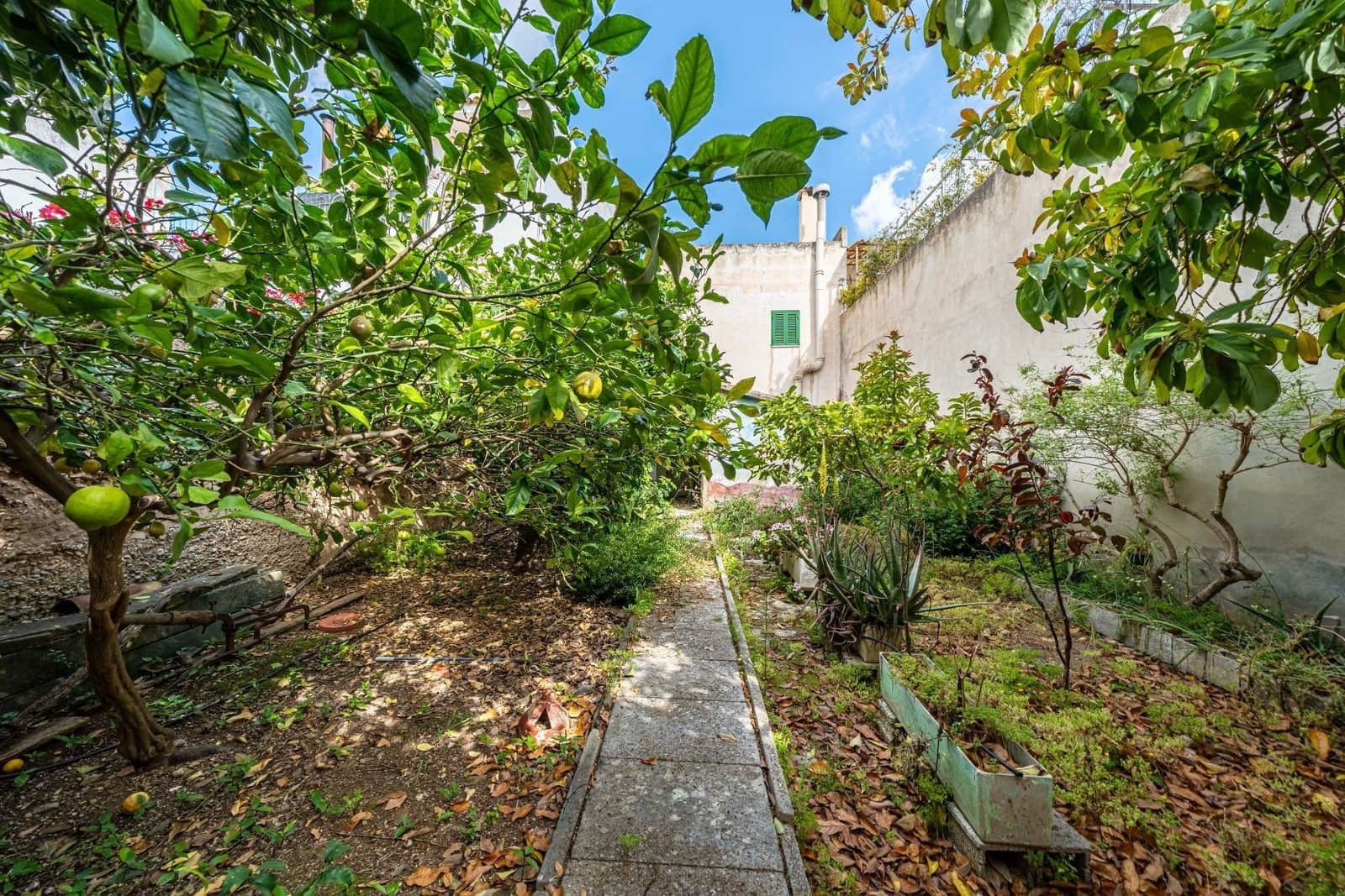5 sovrum Hus till salu i Sa Pobla - 435 000 € (Ref: 9855620)