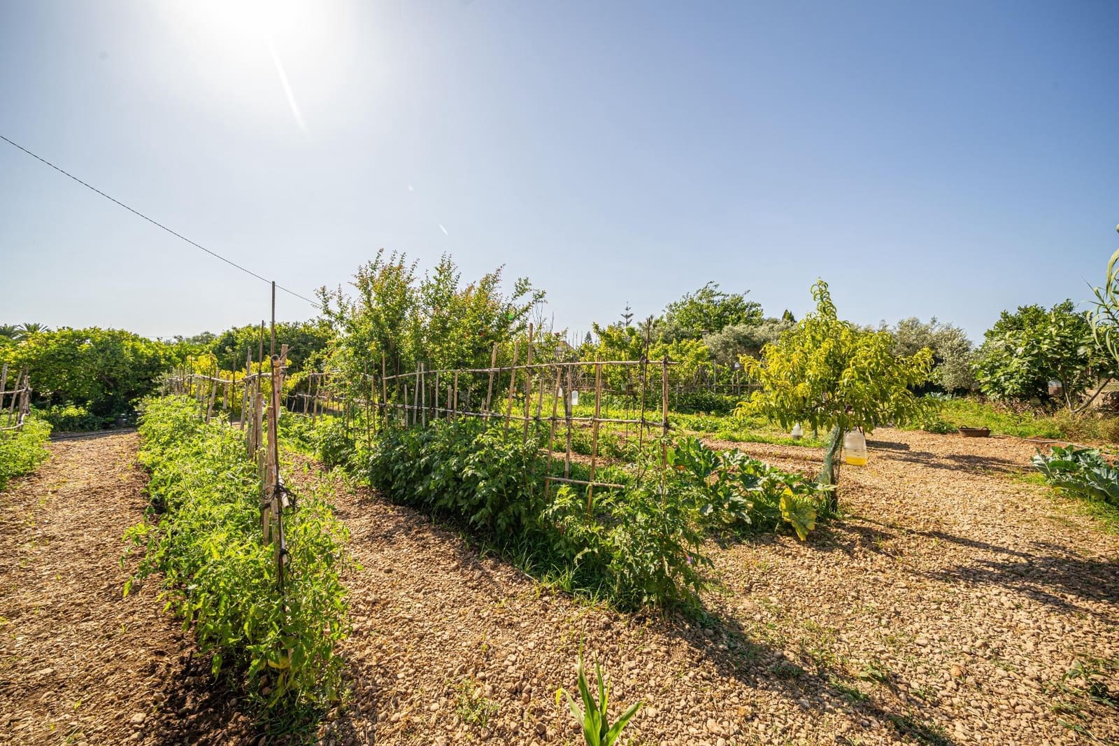 1 Zimmer Finca/Landgut zu verkaufen in Son Ferriol - 499.900 € (Ref: 9898966)