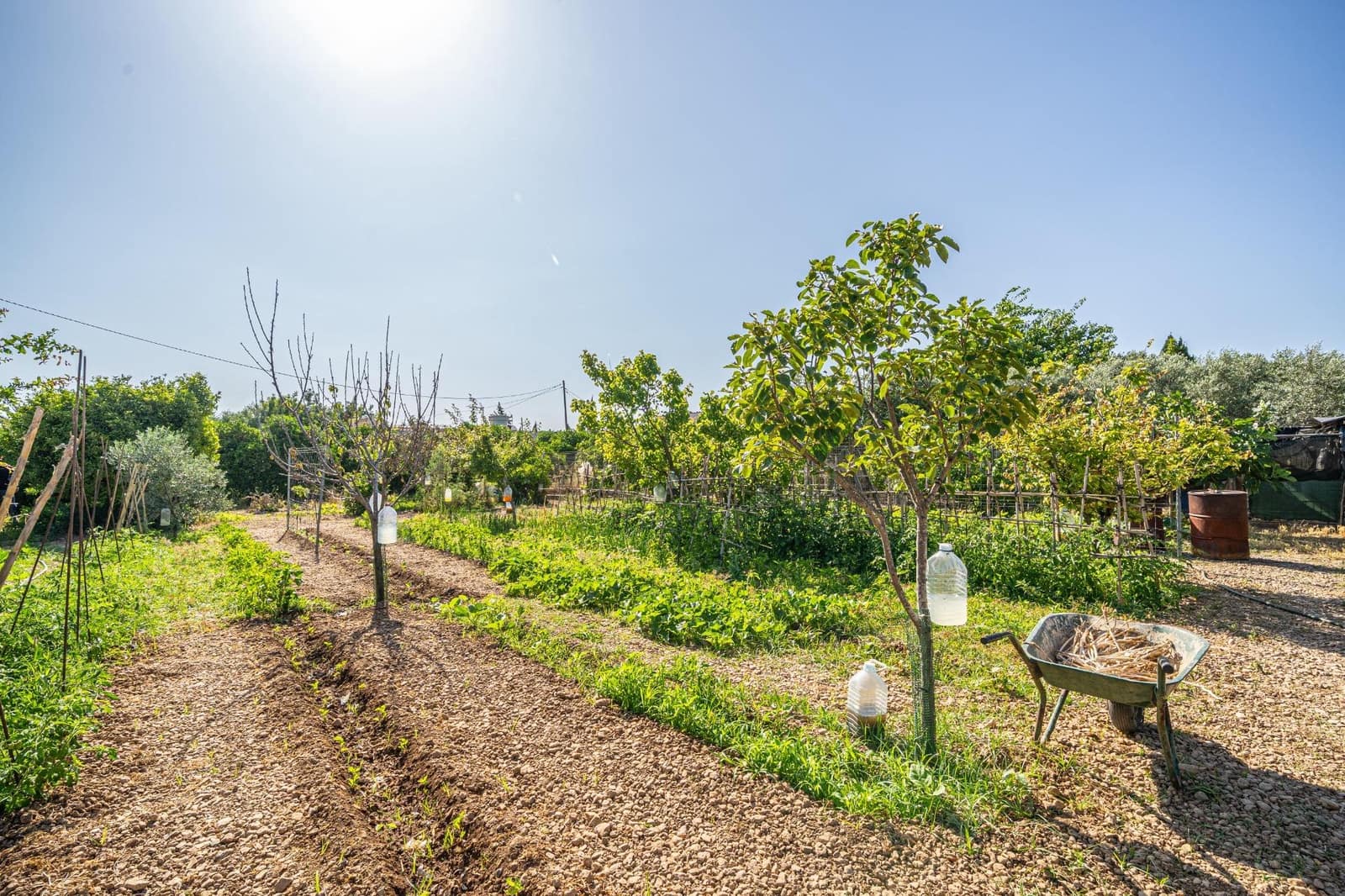 1 Zimmer Finca/Landgut zu verkaufen in Son Ferriol - 499.900 € (Ref: 9898966)
