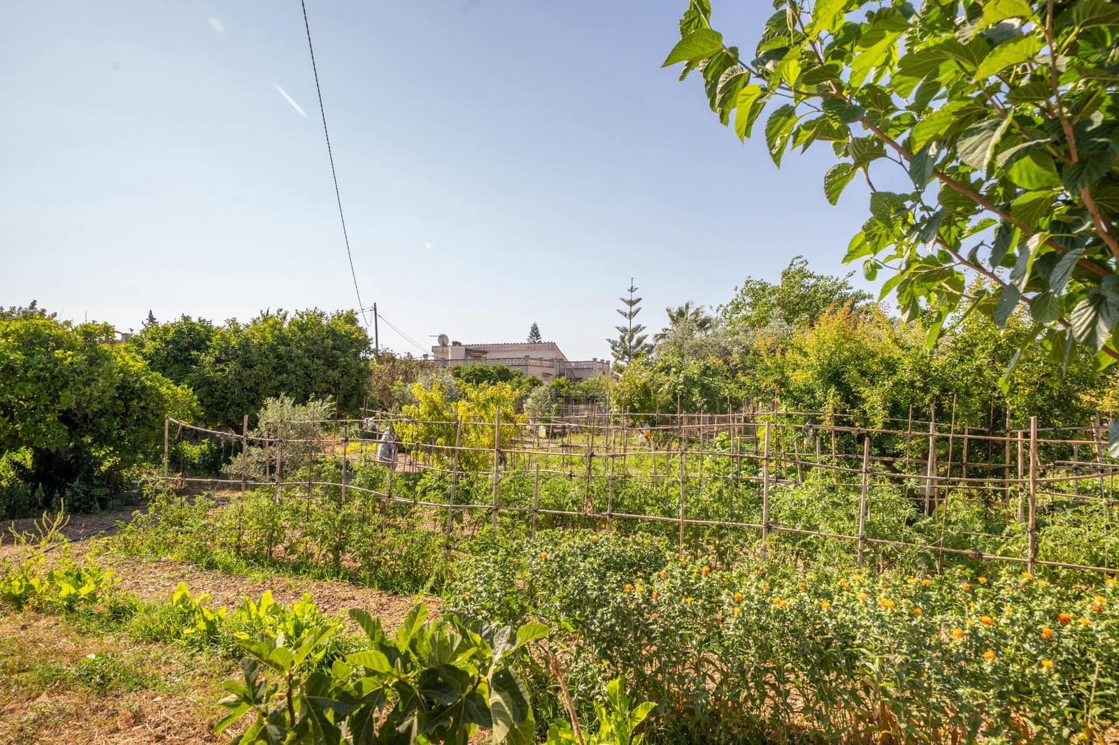 1 Zimmer Finca/Landgut zu verkaufen in Son Ferriol - 499.900 € (Ref: 9898966)