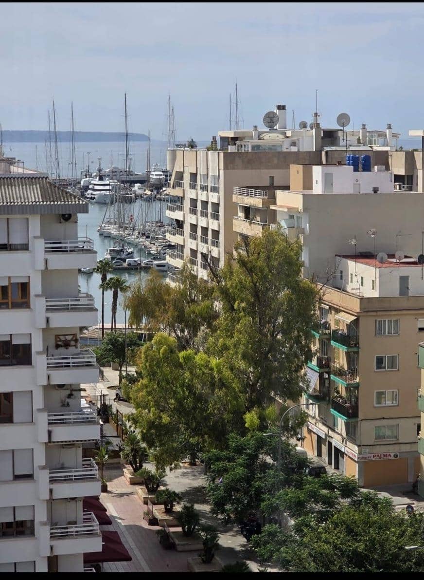3 bedroom Flat for rent in Palma de Mallorca - € 2,500 (Ref: 9904153)