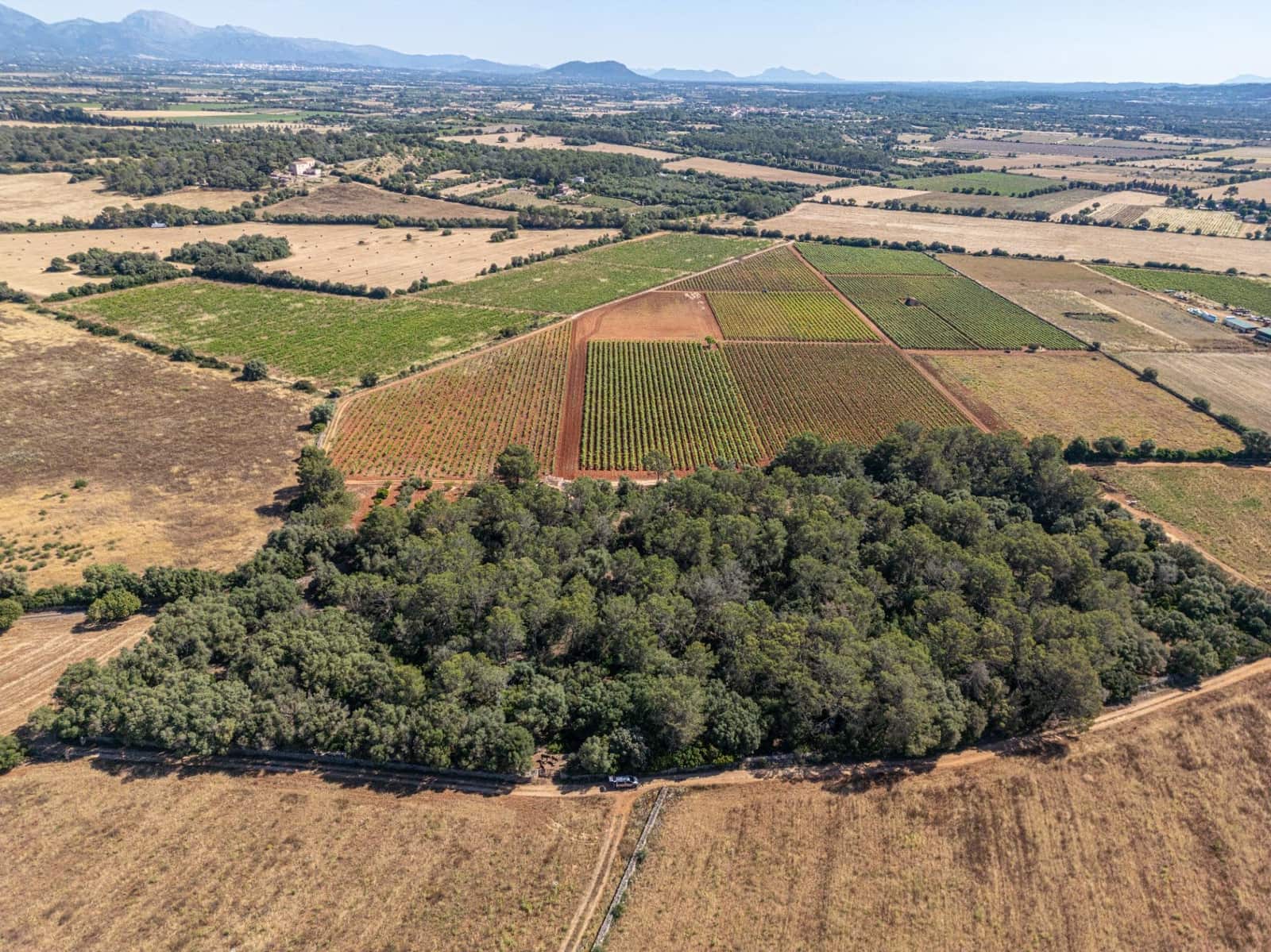 Solar/Parcela en Sencelles en venta - 249.000 € (Ref: 9922458)