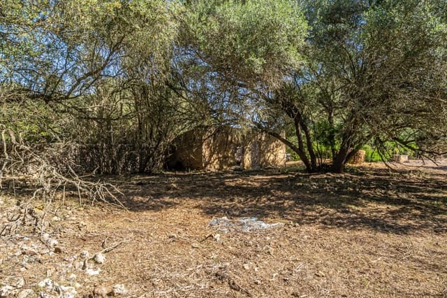 Solar/Parcela en Sencelles en venta - 249.000 € (Ref: 9922458)