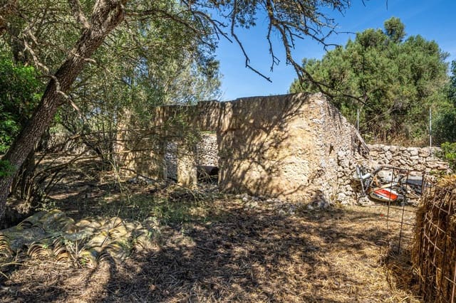 Solar/Parcela en Sencelles en venta - 249.000 € (Ref: 9922458)