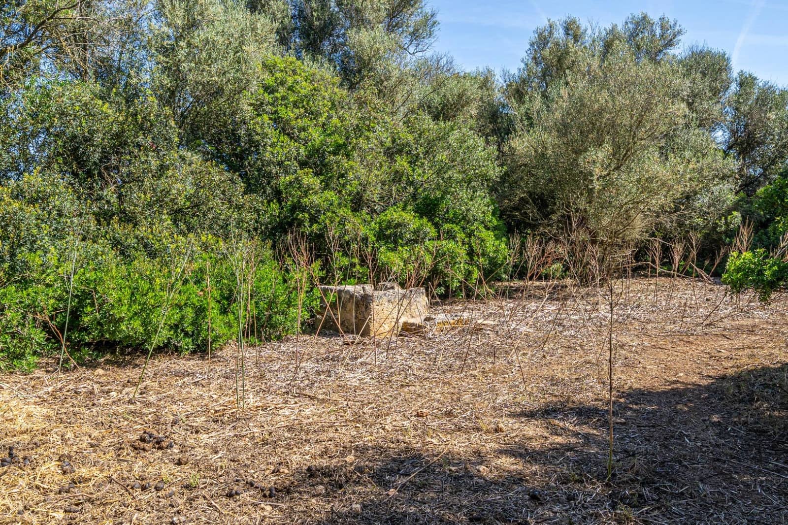 Solar/Parcela en Sencelles en venta - 249.000 € (Ref: 9922458)