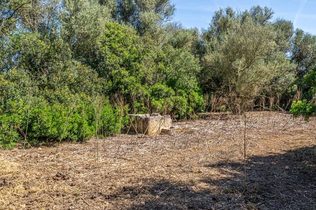 Solar/Parcela en Sencelles en venta - 249.000 € (Ref: 9922458)
