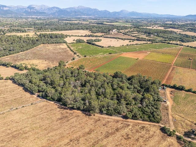 Solar/Parcela en Sencelles en venta - 249.000 € (Ref: 9922458)