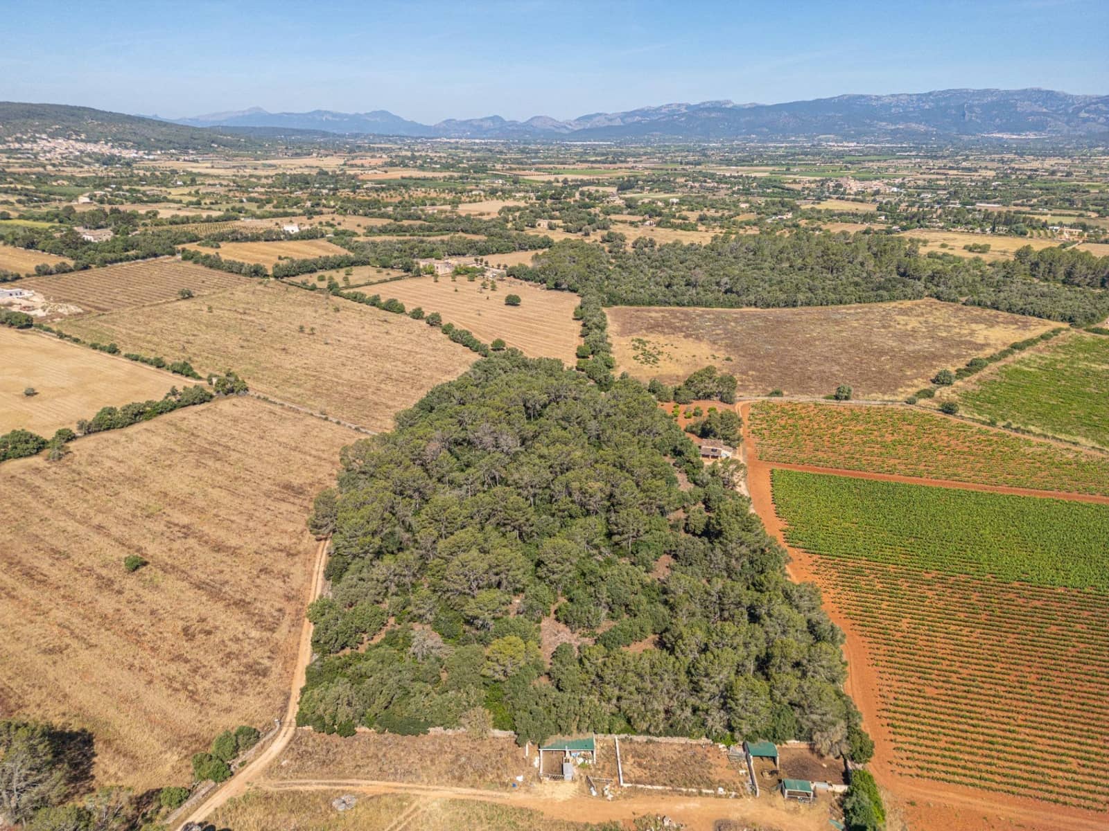 Solar/Parcela en Sencelles en venta - 249.000 € (Ref: 9922458)