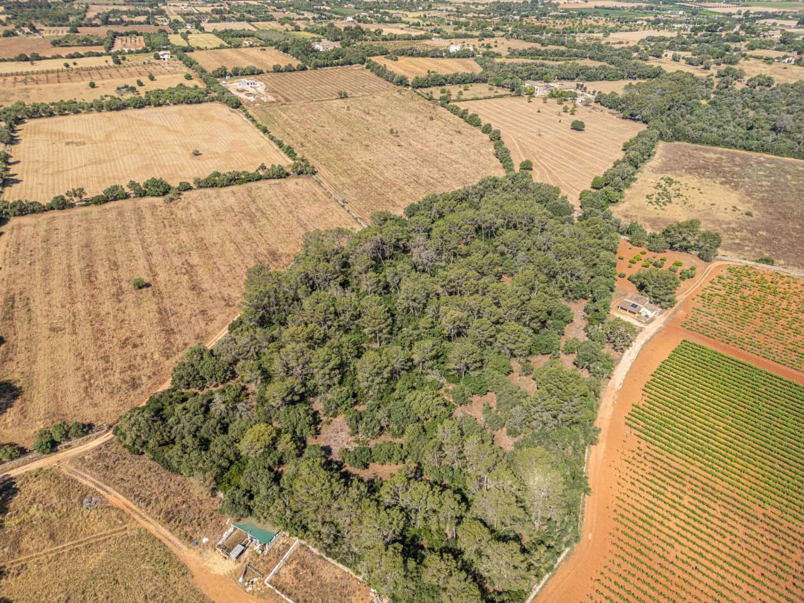 Solar/Parcela en Sencelles en venta - 249.000 € (Ref: 9922458)