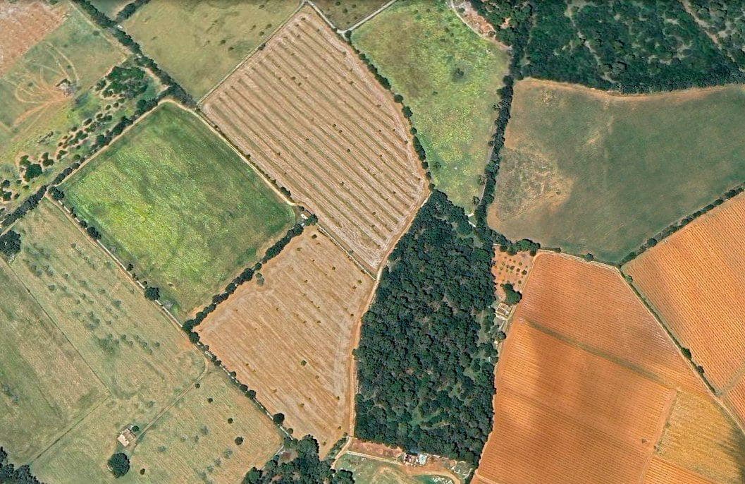 Solar/Parcela en Sencelles en venta - 239.000 € (Ref: 9922459)
