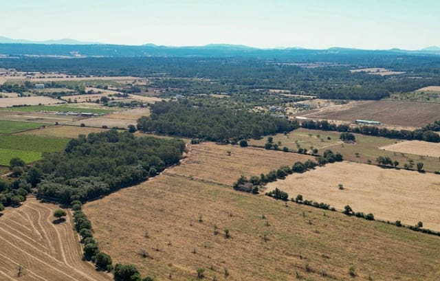 Solar/Parcela en Sencelles en venta - 239.000 € (Ref: 9922459)