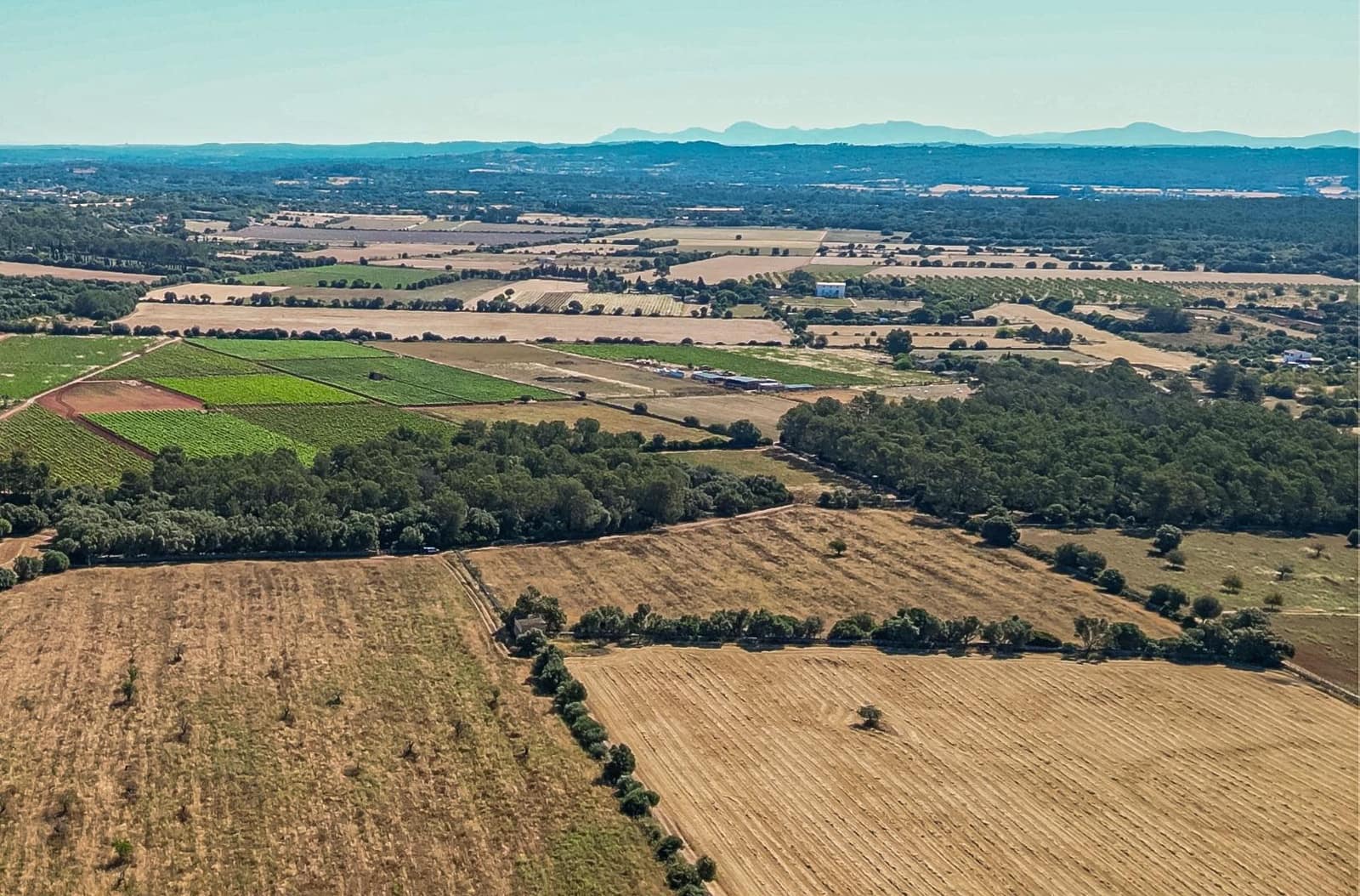 Solar/Parcela en Sencelles en venta - 239.000 € (Ref: 9922459)