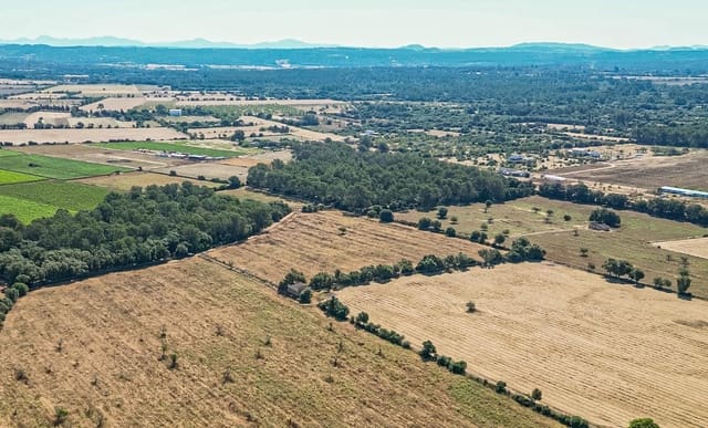 Solar/Parcela en Sencelles en venta - 239.000 € (Ref: 9922459)