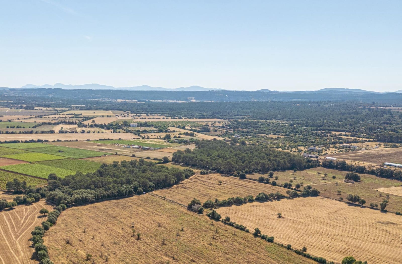 Solar/Parcela en Sencelles en venta - 239.000 € (Ref: 9922459)