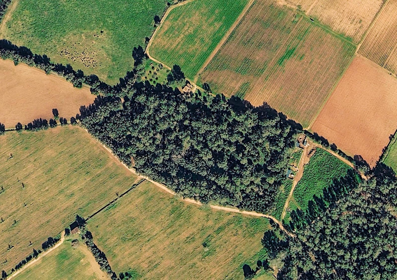 Solar/Parcela en Sencelles en venta - 239.000 € (Ref: 9922459)