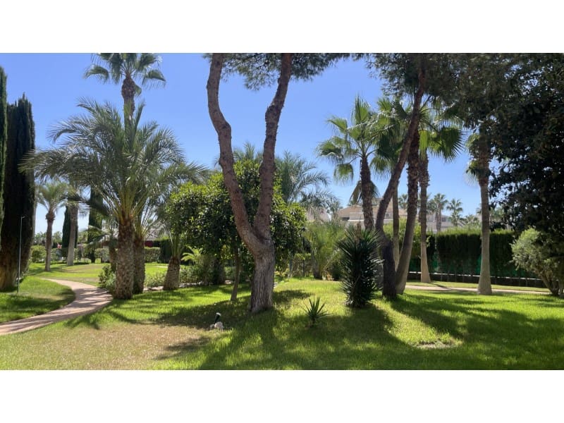 1 soverom Leilighet til salgs i Vera med svømmebasseng - € 155 000 (Ref: 10061685)