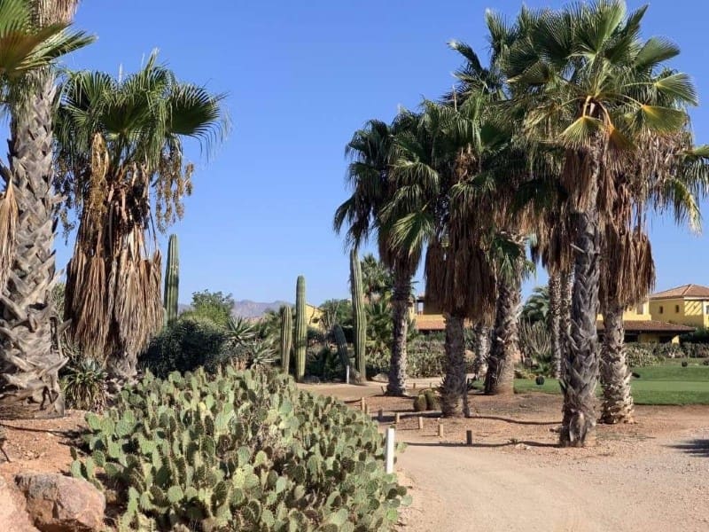 2 sypialnia Apartament na sprzedaż w Cuevas del Almanzora z basenem - 195 000 € (Ref: 8691953)