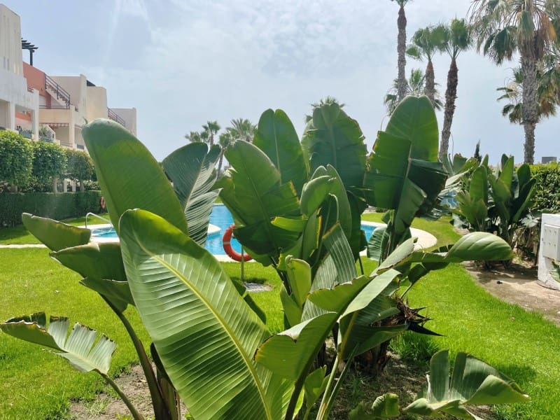 2 camera da letto Appartamento in vendita in Vera - 236.500 € (Rif: 9349323)