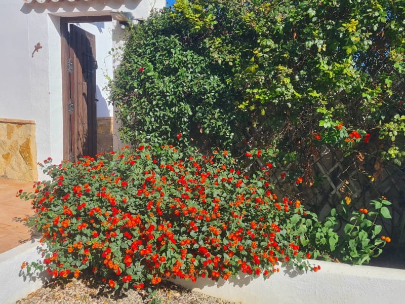 4 soverom Villa til salgs i Cuevas del Almanzora med svømmebasseng garasje - € 485 000 (Ref: 9449145)