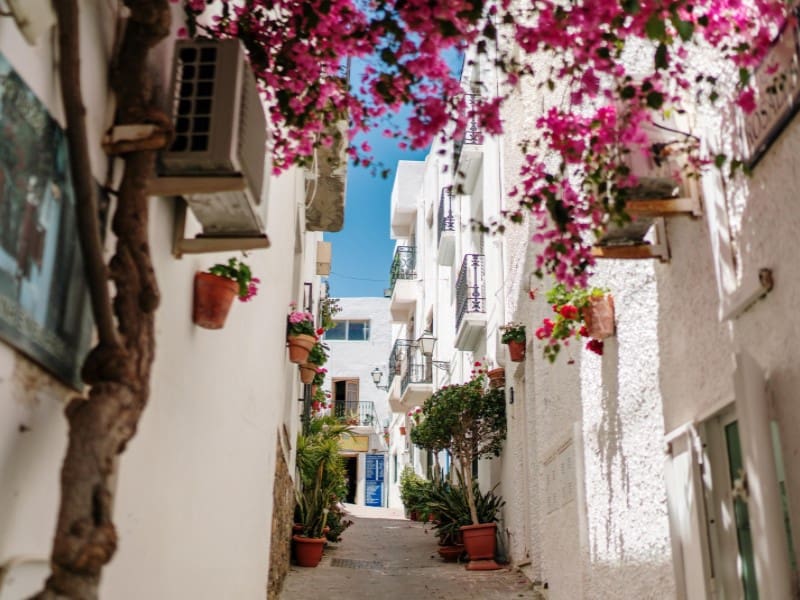 8 bedroom Hotel for sale in Mojacar - € 530,000 (Ref: 9516094)