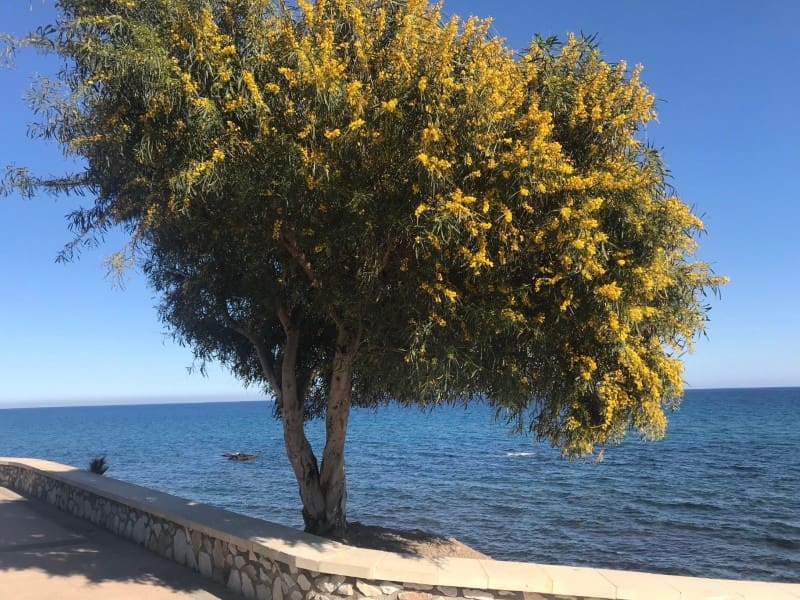 8 bedroom Hotel for sale in Mojacar - € 530,000 (Ref: 9516094)