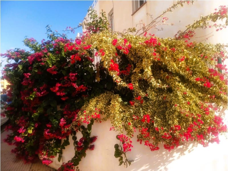 2 sovrum Takvåning till salu i Palomares med pool - 135 000 € (Ref: 9755630)