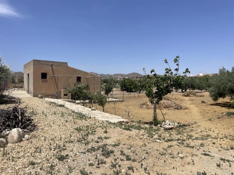 4 chambre Finca/Maison de Campagne à vendre à Antas avec piscine garage - 485 000 € (Ref: 9915797)