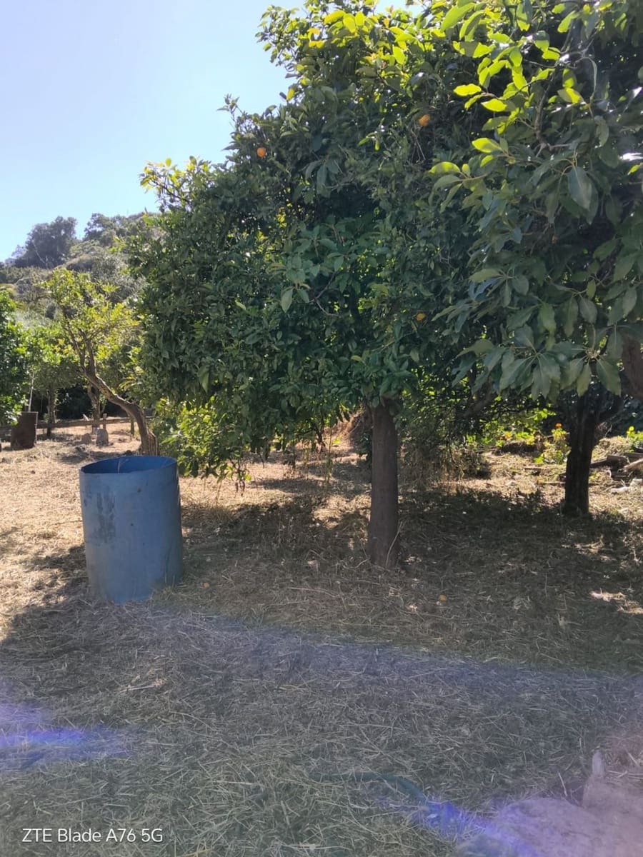 3 camera da letto Finca/Casa di Campagna in vendita in Santa Brigida con garage - 120.000 € (Rif: 10015041)