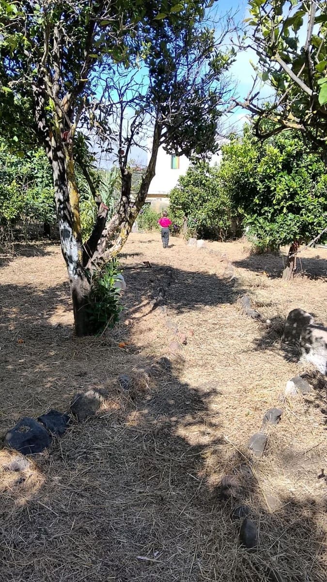 3 camera da letto Finca/Casa di Campagna in vendita in Santa Brigida con garage - 120.000 € (Rif: 10015041)