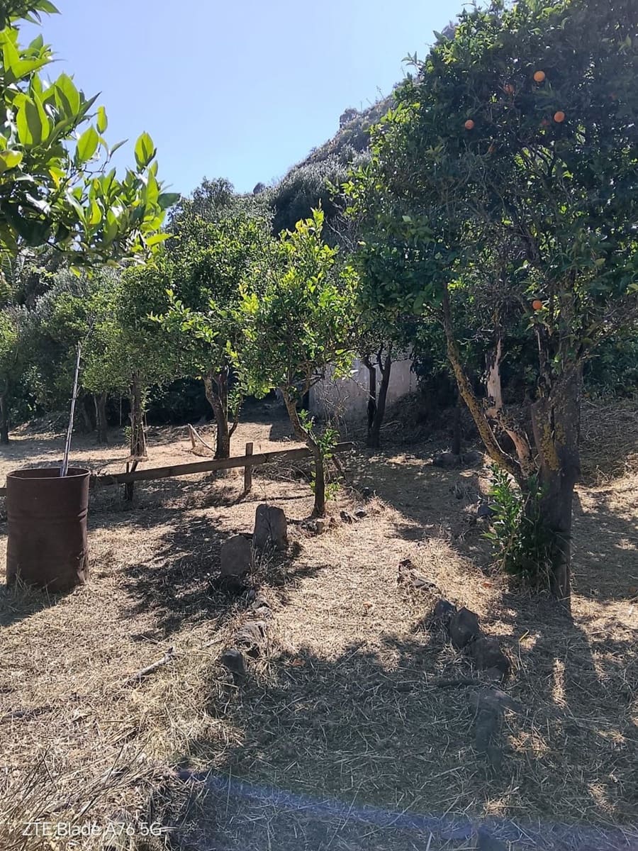 3 camera da letto Finca/Casa di Campagna in vendita in Santa Brigida con garage - 120.000 € (Rif: 10015041)