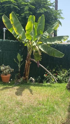 1 quarto Casa em Banda para arrendar em Campo Internacional, San Bartolomé de Tirajana com piscina garagem - 1 400 € (Ref: 10097534)