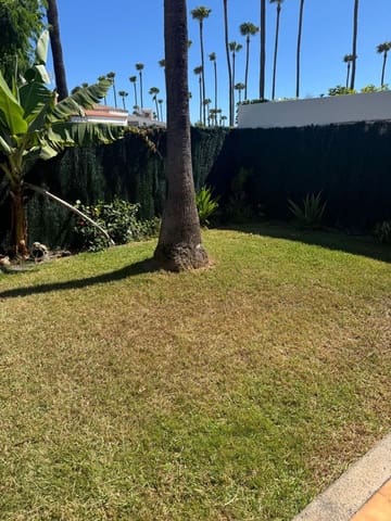 1 quarto Casa em Banda para arrendar em Campo Internacional, San Bartolomé de Tirajana com piscina garagem - 1 400 € (Ref: 10097534)
