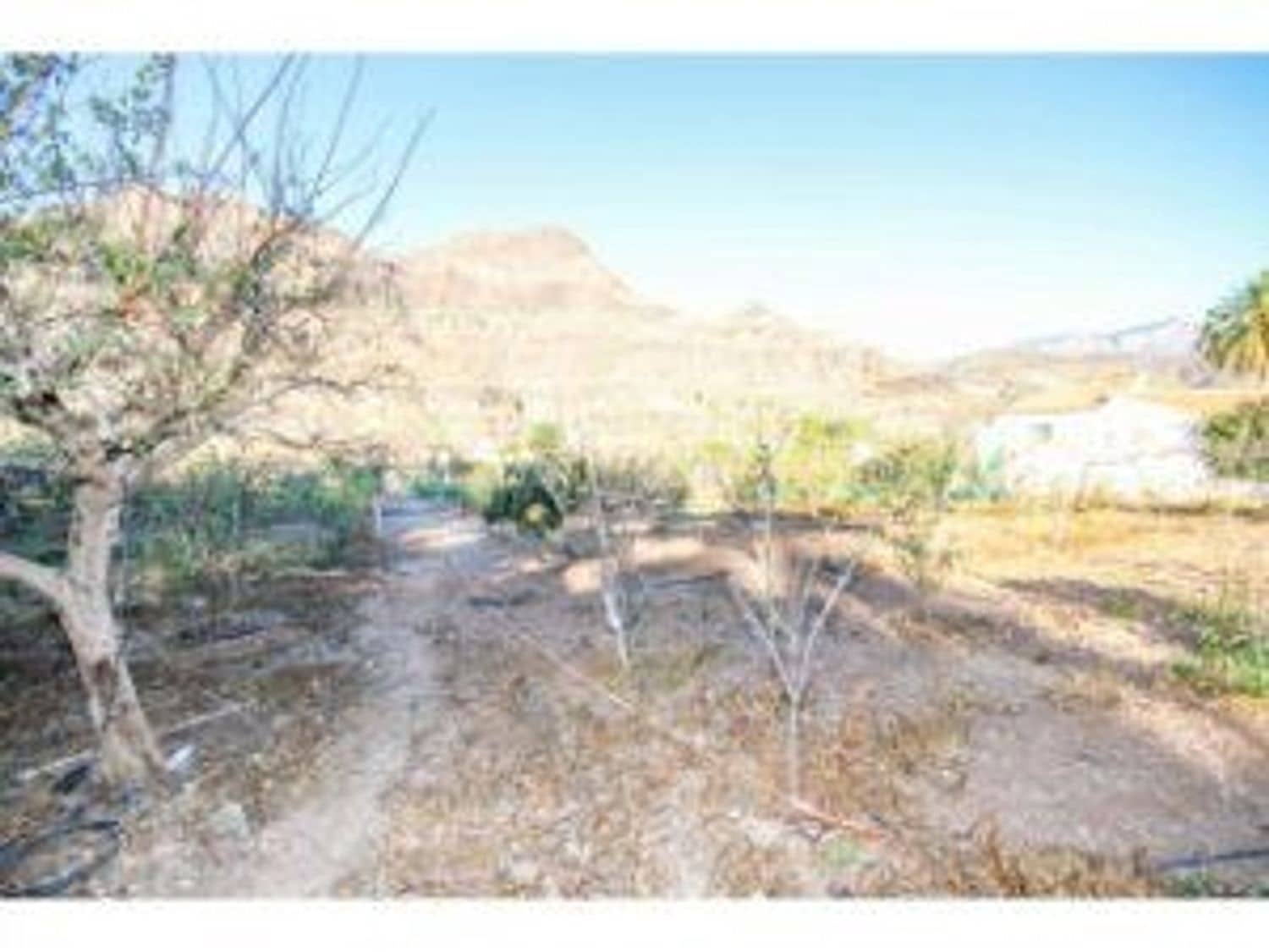 3 soveværelse Finca/Landehus til salg i San Bartolome de Tirajana - € 320.000 (Ref: 8505372)