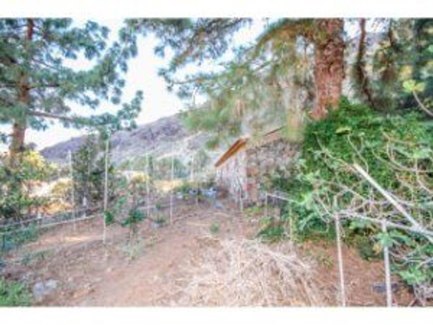 3 soveværelse Finca/Landehus til salg i San Bartolome de Tirajana - € 320.000 (Ref: 8505372)